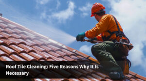 Roof Tile Cleaning_ Five Reasons Why It Is Necessary