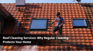 Roof cleaning