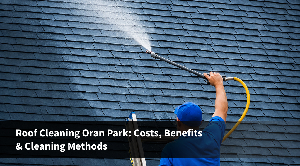 Roof Cleaning